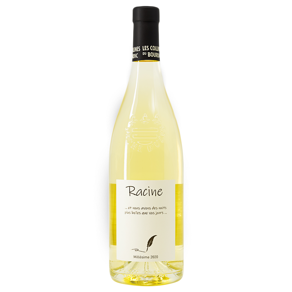 Bourdic Racine Blanc